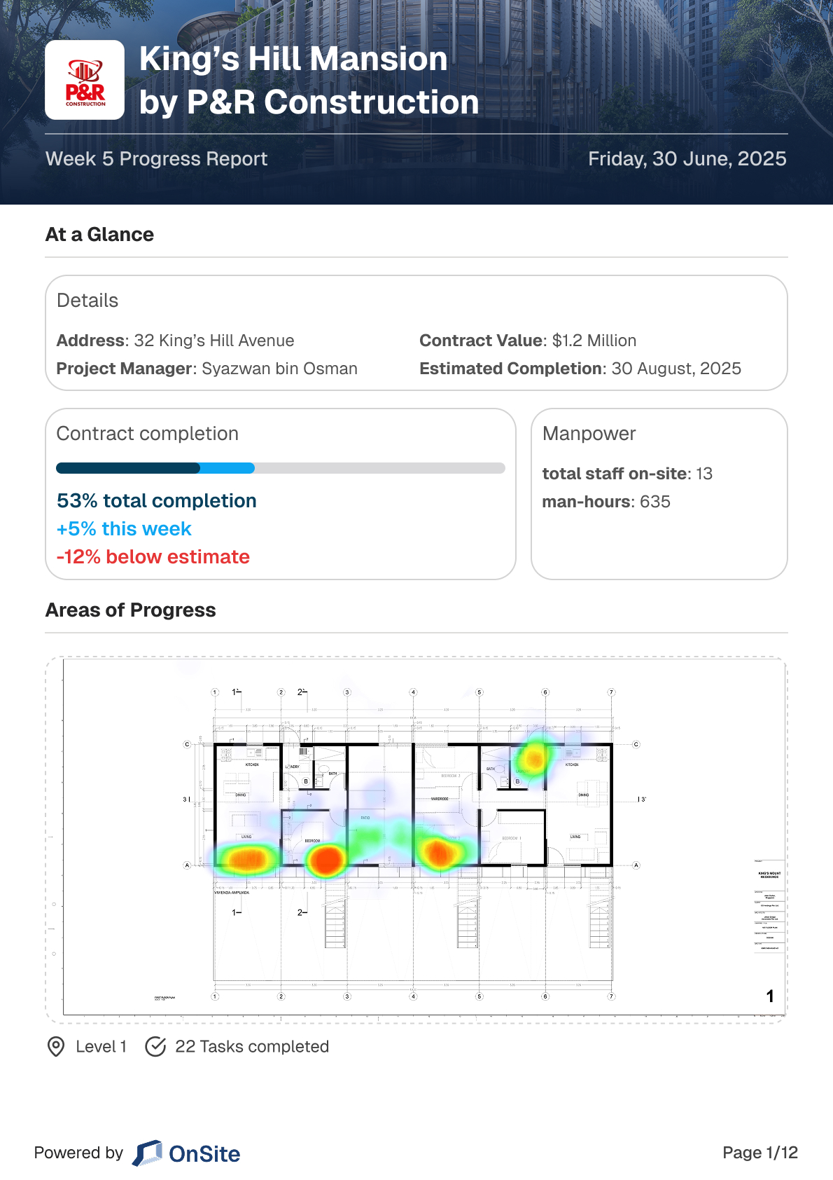 Project progress report preview